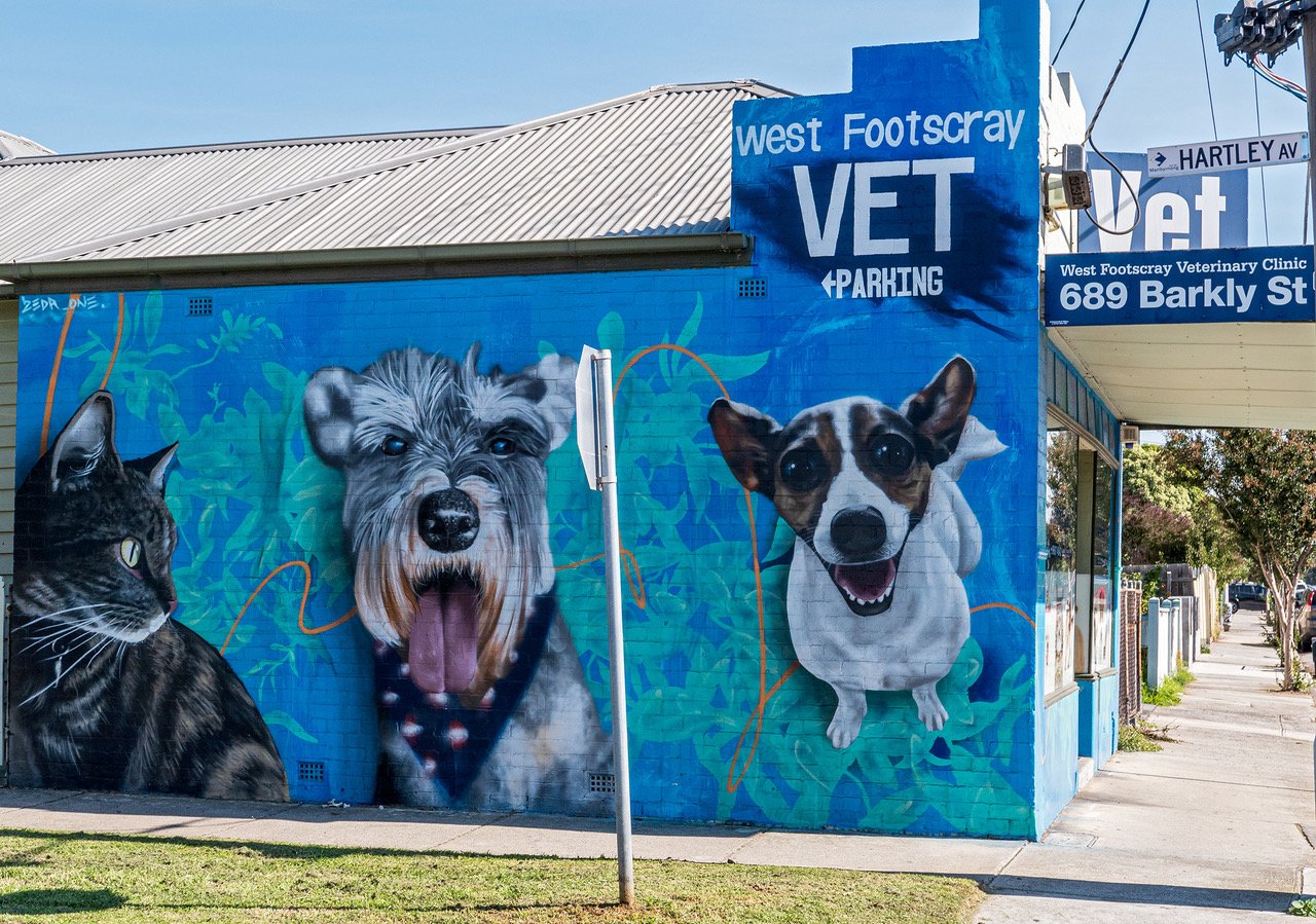 The blue West Footscray Vet mural featuring a cat and two dogs